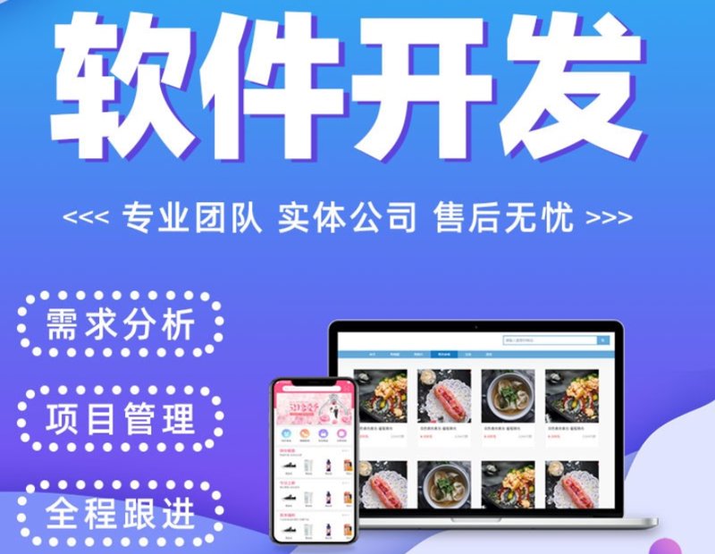 软件定制开发引领企业高效运转